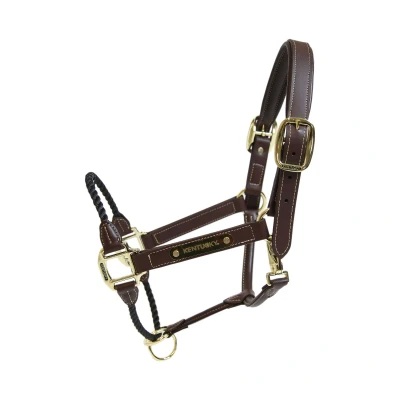 Image de Kentucky Licol en Corde Leather Full