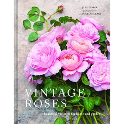 Afbeelding van Vintage Roses