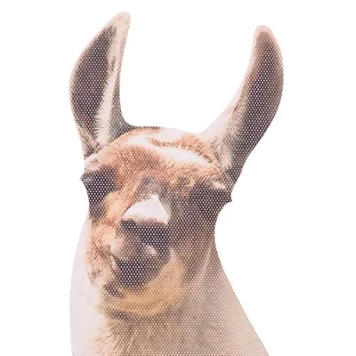 Afbeelding van Thumbsup! Autoraamsticker Ride With Lama 30,5 X 30 Cm Vinyl