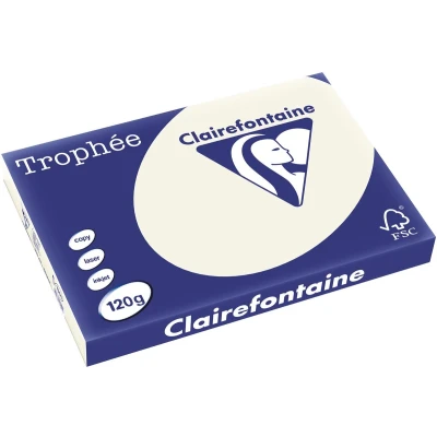 Afbeelding van Clairefontaine Trophée Pastel, gekleurd papier, A3, 120 g, 250 vel, parelgrijs papier