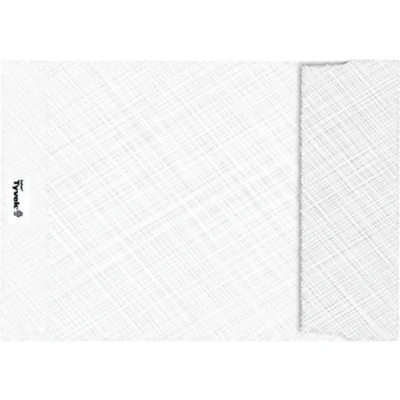 Afbeelding van enveloppen Tyvek ft 229 x 324 mm (C4), doos van 100 stuks