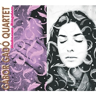 Afbeelding van Gabor Gado Quartet Unknown Kingdom (CD)
