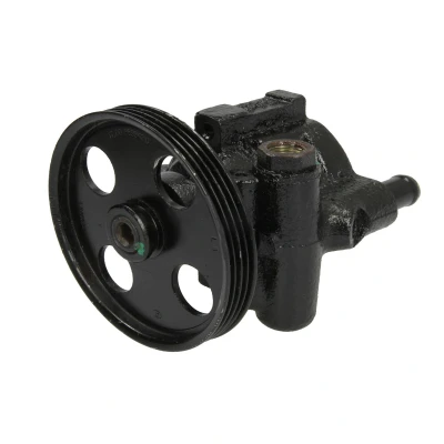 Afbeelding van Lauber Servopomp 55.0105