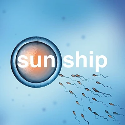 Afbeelding van Brian Jonestown Massacre Sun Ship 10&quot; (Single)