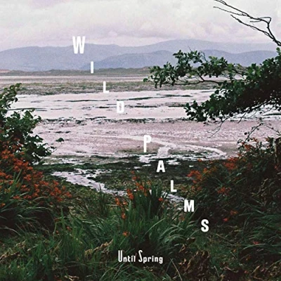 Afbeelding van Wild Palms Until Spring&#039; (LP)