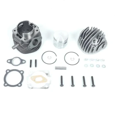 Afbeelding van Thermische groep POLINI D.55 102cc VESPA 2T 50 SPECIAL PK XL APE FL FL2 FL3