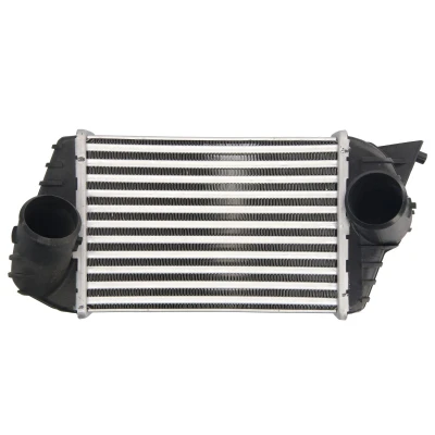 Afbeelding van THERMOTEC DAF009TT Intercooler