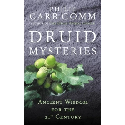 Afbeelding van Druid Mysteries