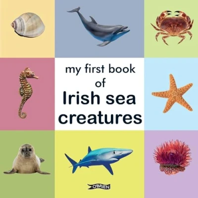 Afbeelding van First Steps My Book of Irish Sea Creatures