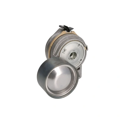 Afbeelding van DAYCO APV1094 Riemspanner