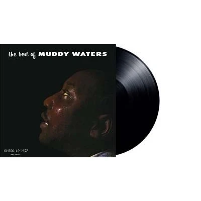 Image de The Best Of Muddy Waters