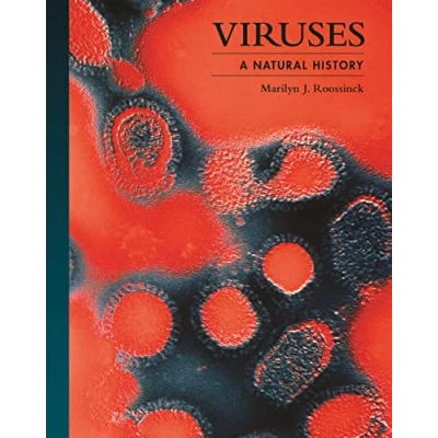 Afbeelding van the Lives of Natural World5 Viruses
