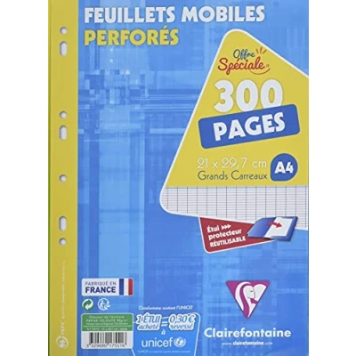 Afbeelding van Clairefontaine 17551C etui met beweegbare vellen, geperforeerd, A4, 21 x 29,7 cm, 300 pagina&#039;s, grote ruitjes, wit papier, 90 g, herbruikbare