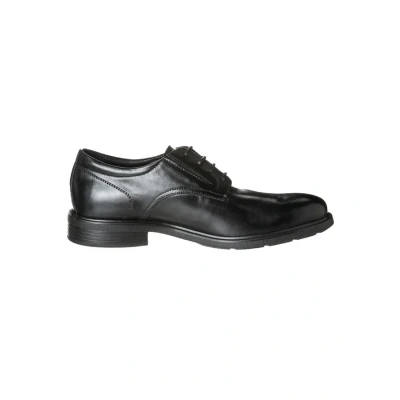 Afbeelding van Geox Dublin Veterschoenen, Heren, Maat: 42.5, Schwarz Leer