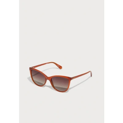 Afbeelding van Polaroid Zonnebril, Dames, Maat: 55, Ochre