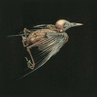 Afbeelding van Jenny Hval &amp; Susanna Meshes Of Voice (CD)