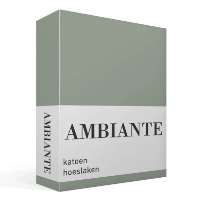 Afbeelding van Hoeslaken Lits Jumeaux 180x210 Ambiante Katoen Groen 2 Persoons