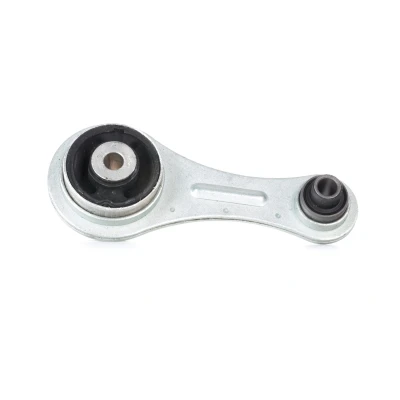 Afbeelding van Aslichaam /motorsteunlager SASIC 4001714