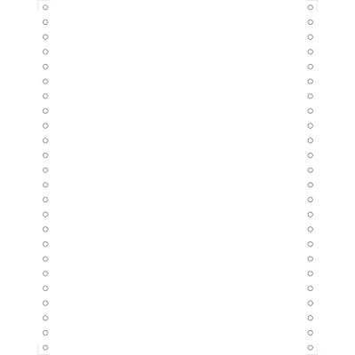 Afbeelding van Exacompta 65421E LIST.240X12&quot; 1 PLI B