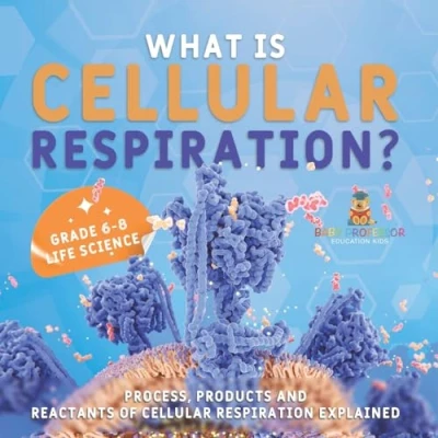 Afbeelding van What is Cellular Respiration? Process, Products and Reactants of Respiration Explained Grade 6 8 Life Science