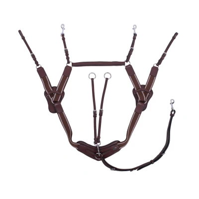 Image de QHP Breastplate Sedna