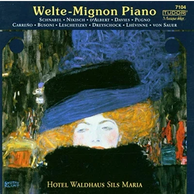 Afbeelding van Welte Mignon Piano Hotel