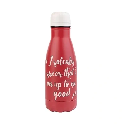 Afbeelding van Grupo Erik Harry Potter thermosfles, 260 ml, roestvrij staal en BPA vrij