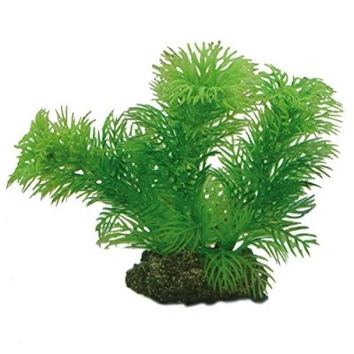 Afbeelding van Hobby Plant Egeria 13 Cm