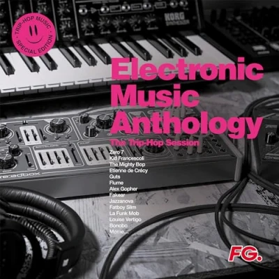Afbeelding van V/A Electronic Music Anthology Trip Hop (2 LPs)