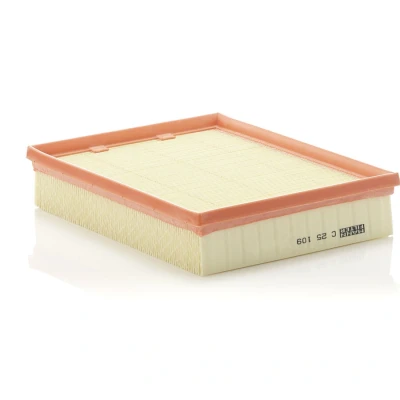 Image de Filtre à air mann filter c25109