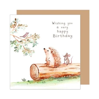 Afbeelding van Edition Seidel GQ374 SW025 Carte d&#039;anniversaire carrée avec enveloppe pour enfant, fille, garçon, femme, petite amie, petit ami, hérisson, souris et oiseau