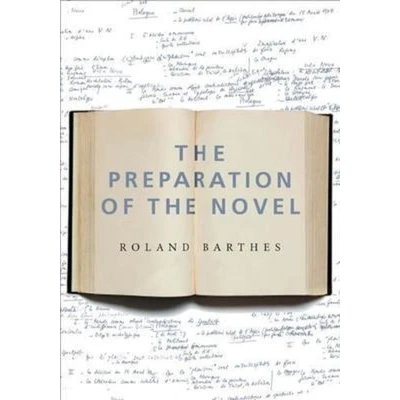 Afbeelding van the Preparation of Novel