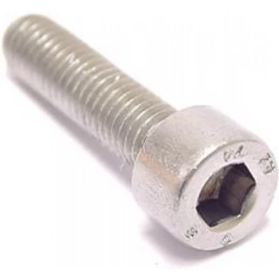 Afbeelding van Inbusbout M5x25 Bofix RVS (25 stuks)