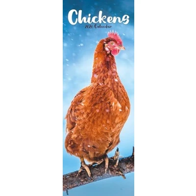 Afbeelding van Chickens Slim Calendar 2026 Bird Slimline 12 Month
