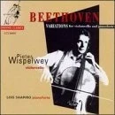 Afbeelding van Pieter Wispelwey &amp; Lois Shapero Beethoven: Variations For Violoncello And Pianoforte (CD)