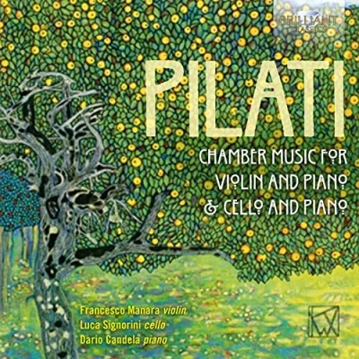Afbeelding van Francesco Manara Pilati: Chamber Music For Violin, Cello And Piano (2 CD)