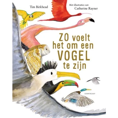 Image de Zo voelt het om een vogel te zijn