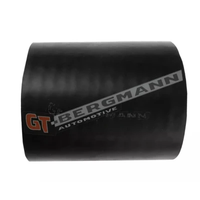 Afbeelding van GATES 09 0559 Laadluchtslang PE (Polyethyleen) LAND ROVER: Freelander I Off Road Convertible,