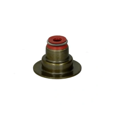 Afbeelding van Reinz Klepsteeldichting 70 36613 00