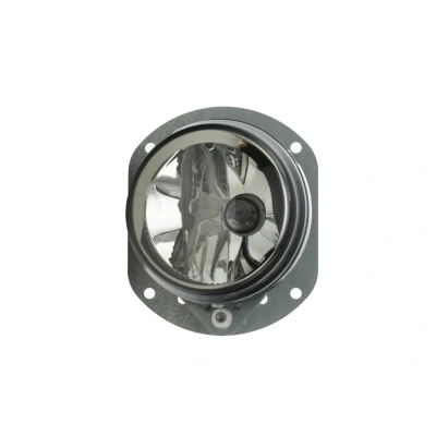 Afbeelding van Hella Dynaview EVO2 Rechts 12V m/draagframe 1N0 009 295 041
