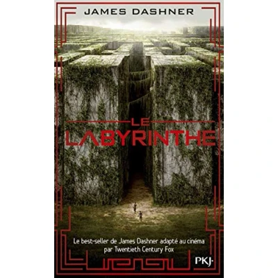 Afbeelding van Le Labyrinthe 1 L&#039;épreuve