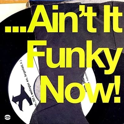 Afbeelding van V/A Ain&#039;t It Funky Now (2 LPs)