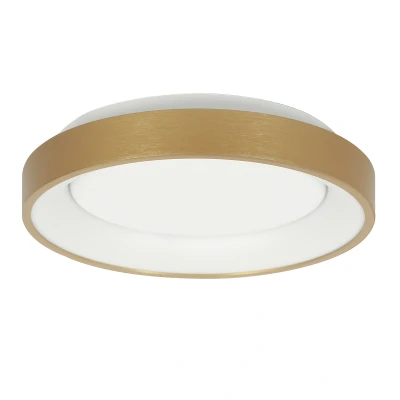 Afbeelding van Steinhauer plafonniere Ringlede goud metaal 38 cm ingebouwde LED module 3691GO