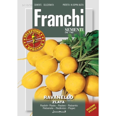 Afbeelding van Radijs, Ravanello Zlata 112/36 Franchi