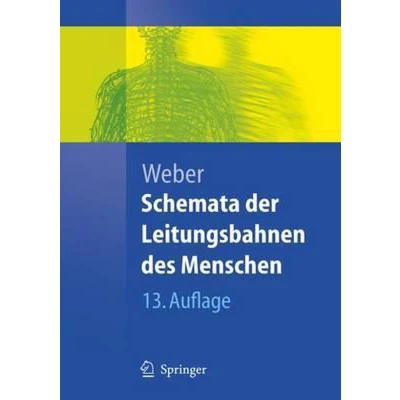 Afbeelding van Schemata Der Leitungsbahnen Des Menschen
