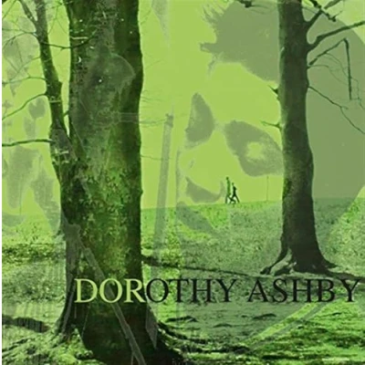 Afbeelding van Dorothy Ashby Hip Harp On A Minor Groove (2 LP)
