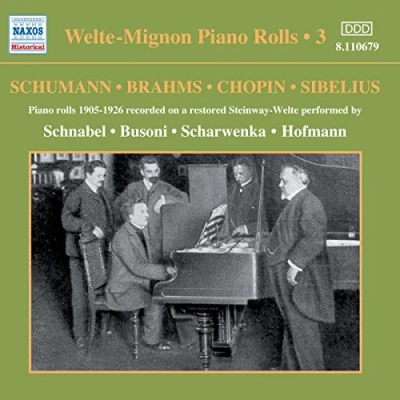 Afbeelding van Various Artists Welte Mignon Piano Rolls 3 (CD)