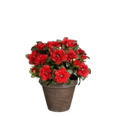Afbeelding van Azalea Kunstplant in Bloempot Stan H31 x Ø26 cm Rood