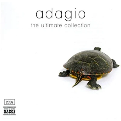 Afbeelding van Various Artists Adagio The Ultimate Collection (2 CD)