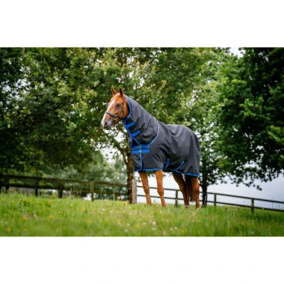 Afbeelding van Horseware Weidedeken met Kap Amigo Ripstop 900 Plus 100g Zwart/Blauw